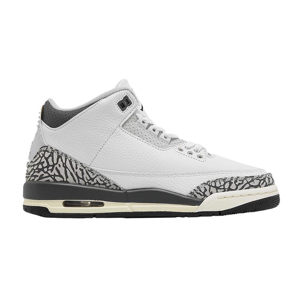 Air Jordan 3 Retro GS  Hide N  Sneak